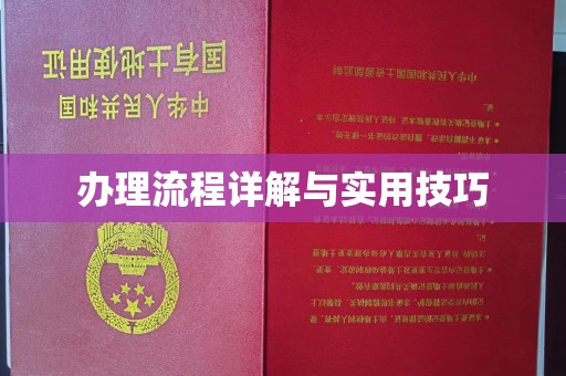 济宁办理流程详解与实用技巧