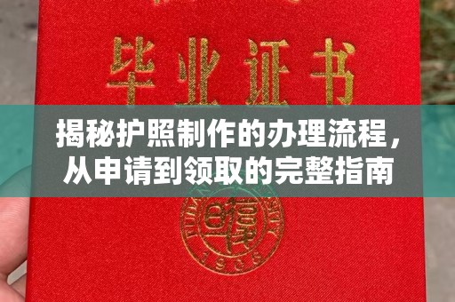 济宁揭秘护照制作的办理流程，从申请到领取的完整指南