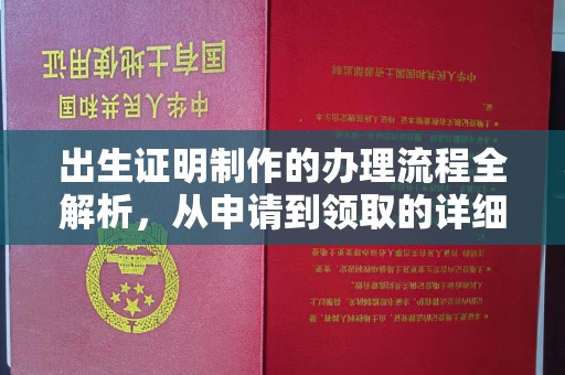 济宁出生证明制作的办理流程全解析，从申请到领取的详细指南