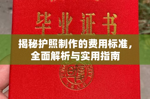 济宁揭秘护照制作的费用标准，全面解析与实用指南
