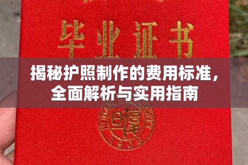 济宁揭秘护照制作的费用标准，全面解析与实用指南