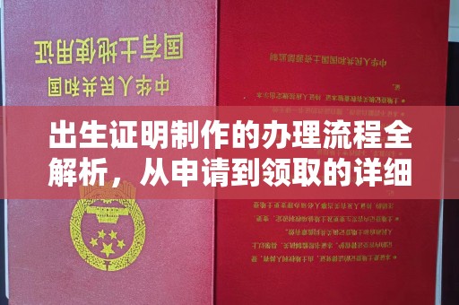 济宁出生证明制作的办理流程全解析，从申请到领取的详细指南