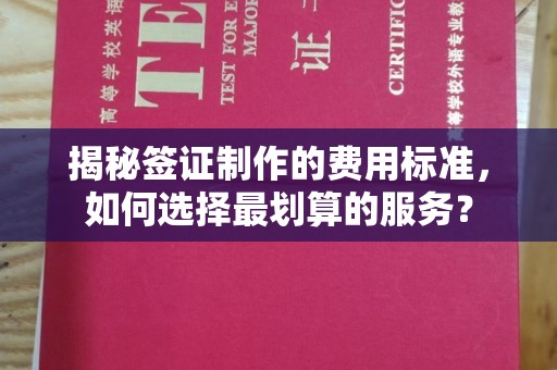 济宁揭秘签证制作的费用标准，如何选择最划算的服务？